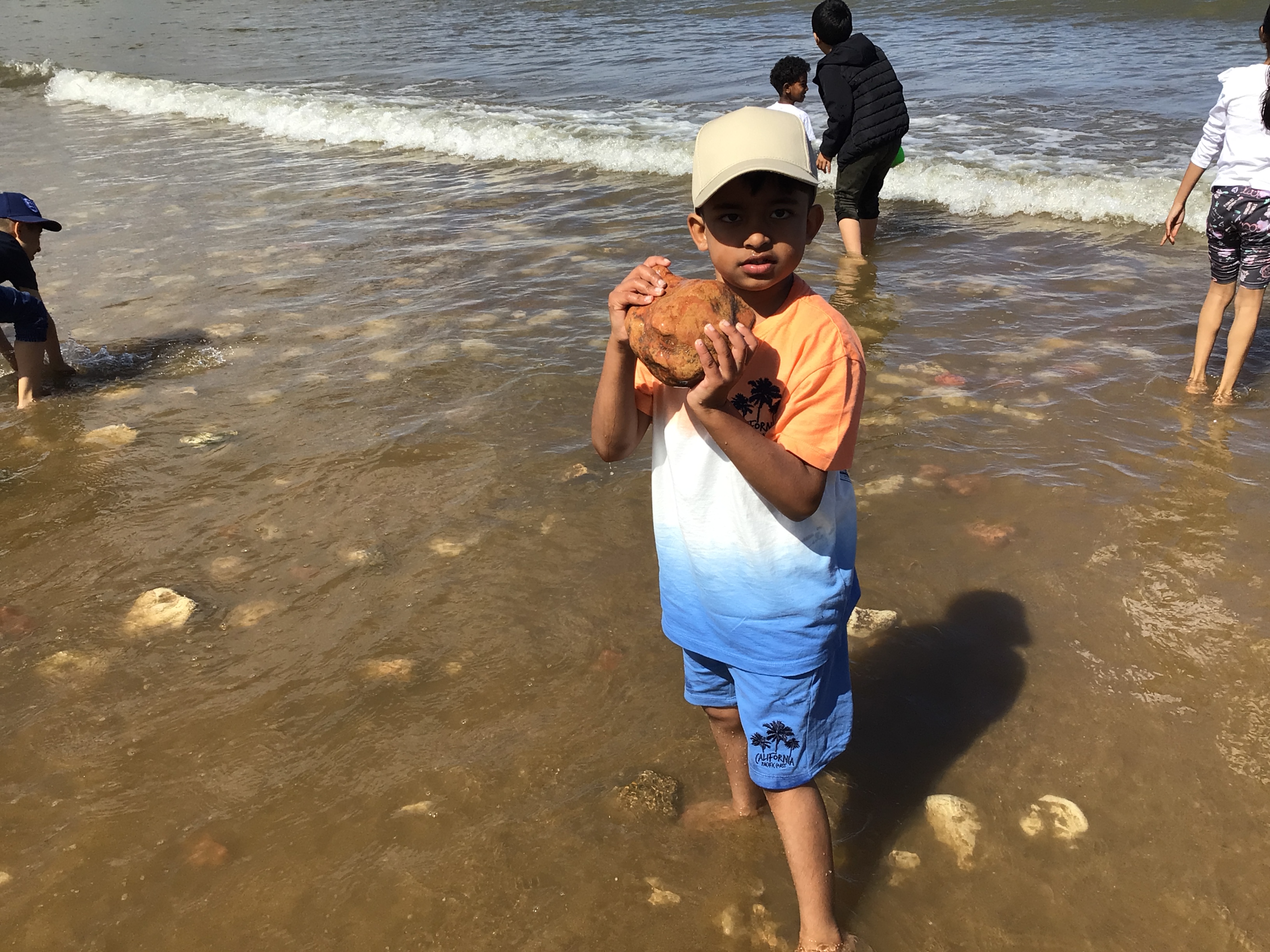 Uplands at the beach